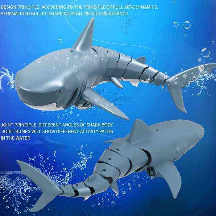 remote control car shark