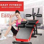 IGETELY 6-in-1 Multi-Functional Bench for Full All-in-One Body Workout Back Extension, Waist Machine Fitness Equipment, Roman Chair, Adjustable Ab Sit up Bench, Decline Bench, Flat Bench