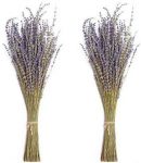 Timoo Dried Lavender Bundles 100% Natural Dried Lavender Flowers for Home Decoration, Photo Props, Home Fragrance, 2 Bundles Pack