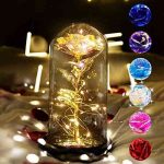 Rose Flower Gifts for Women,Galaxy Enchanted Rose 4 in 1 Gift Pack Colorful Flower Gifts in Glass Dome with String Light,Valentine’s Day Gifts for Anniversary Birthday Home Decoration (Colorful Rose)