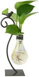 Marbrasse Desktop Glass Planter Hydroponics Vase,Planter Bulb Vase with Holder for Home Decoration,Modern Creative Bird Plant Terrarium Stand, Scindapsus Container (Bulb Vase)