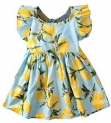 Toddler Baby Girls Summer Dress Outfits, Skirt Sunsuit Beachwear Clothes Set