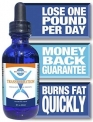 BSkinny Global Transformation Weight Loss Drops – Diet’s Protocol Brochure – Packaged in an Informative Box – 2 ounces